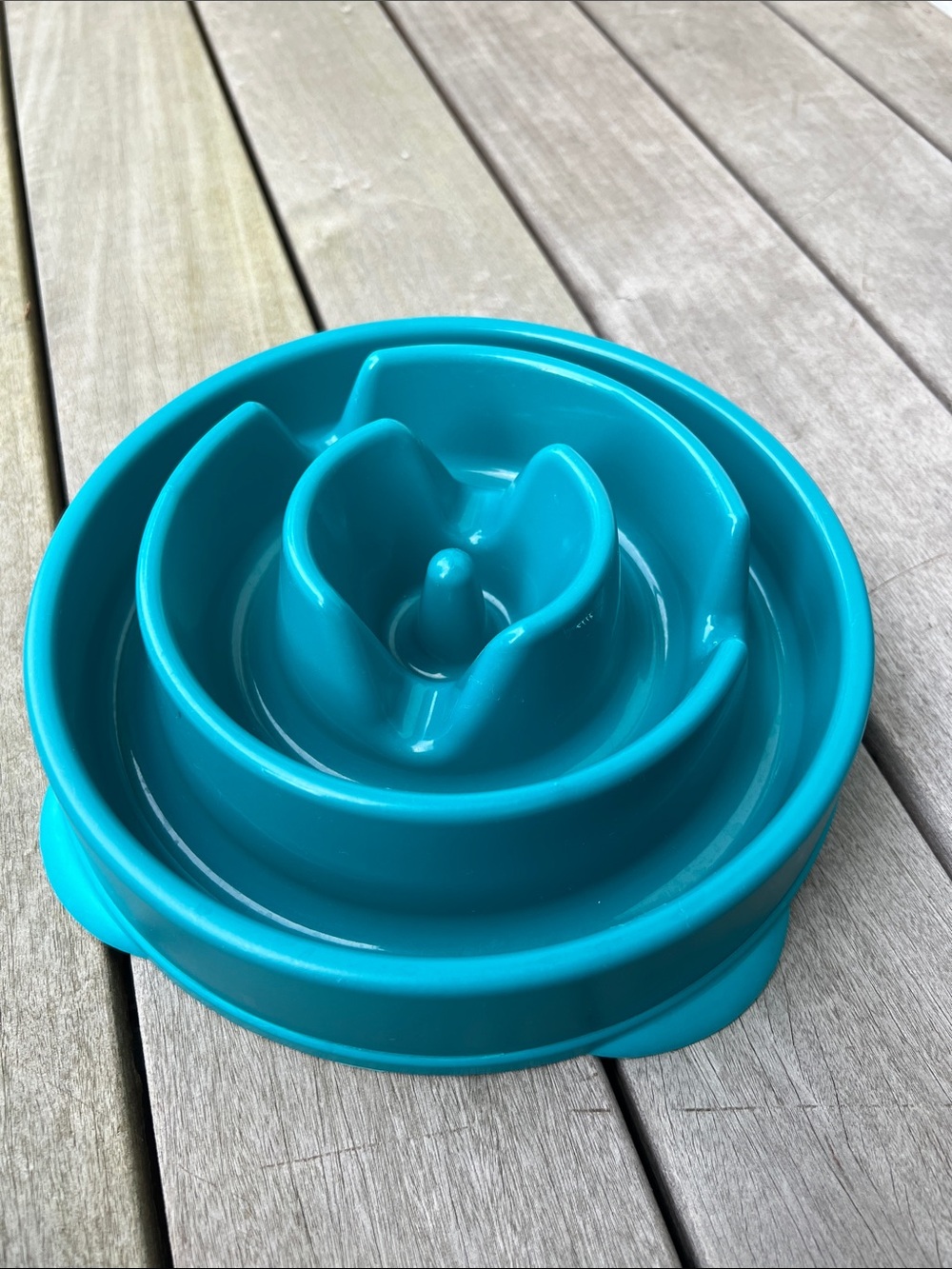 Outward Hound Teal Slow Feeder Bowl for Medium Pets